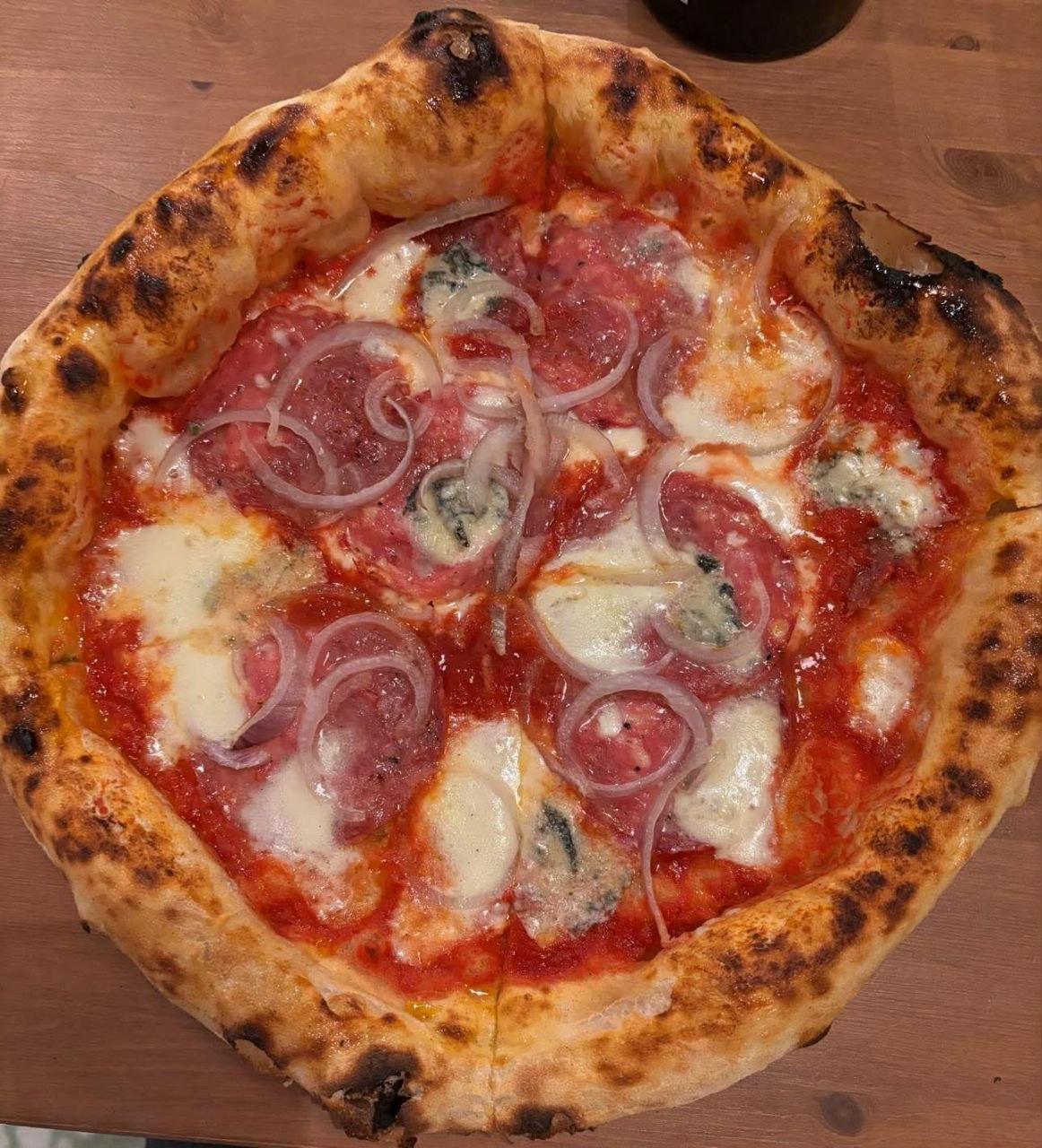 Saporita